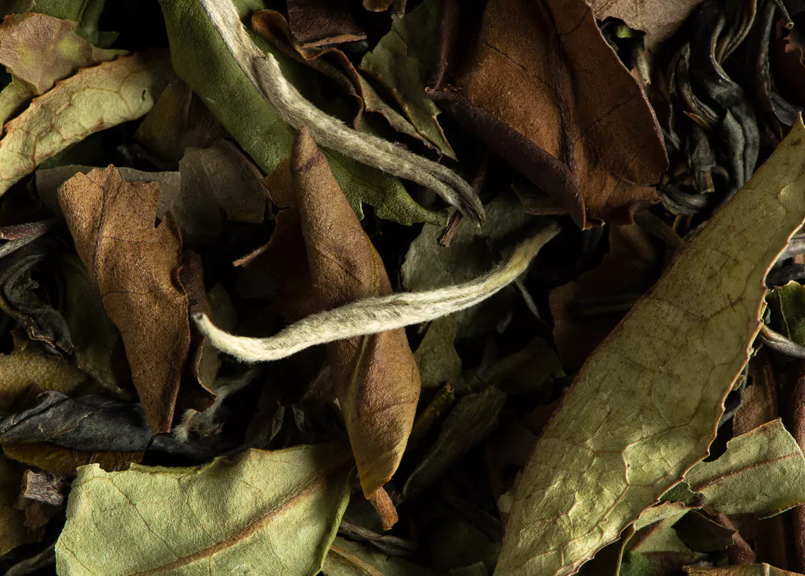 ROOIBOS ARÔMES NATURELS DE CITRON-VANILLE BIO - Cafés Van Hove