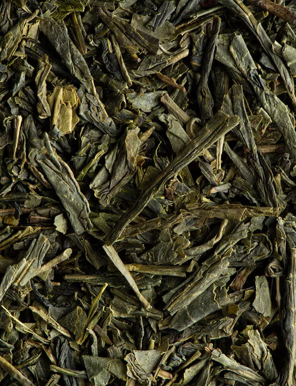 THÉ VERT SENCHA BIO - Cafés Van Hove