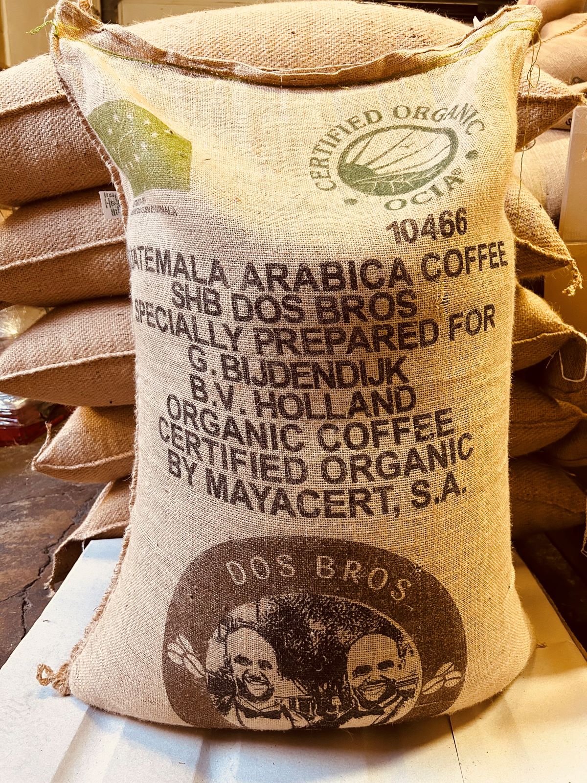 Café Guatemala Huehuetenango Bio – Guatemala – Cafés Van Hove