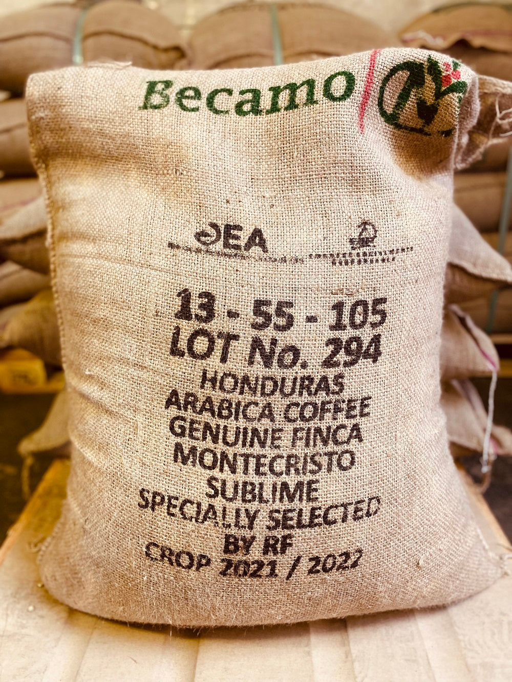 Café Moka – Honduras – Cafés Van Hove
