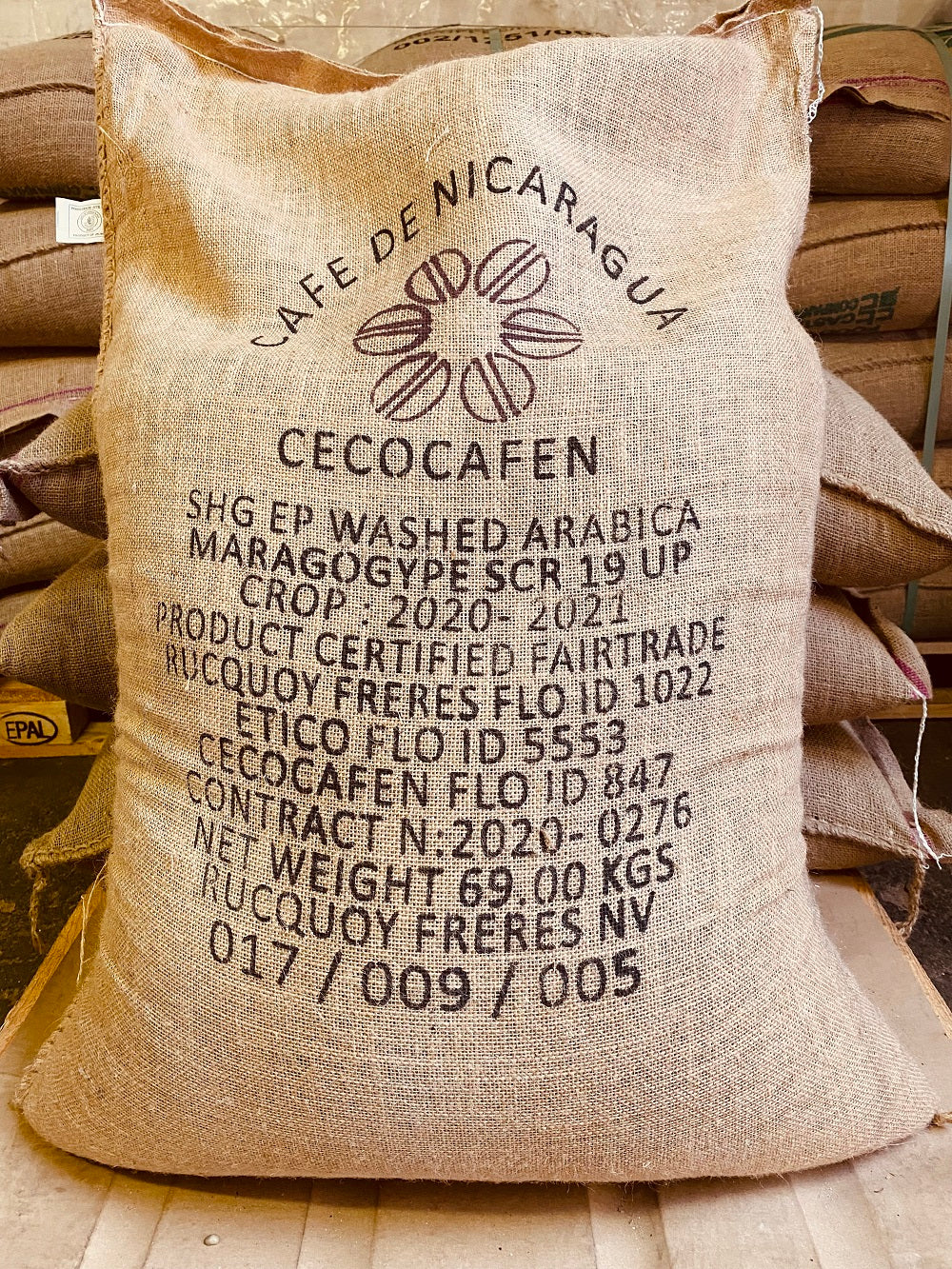 Maragogype Nicaragua