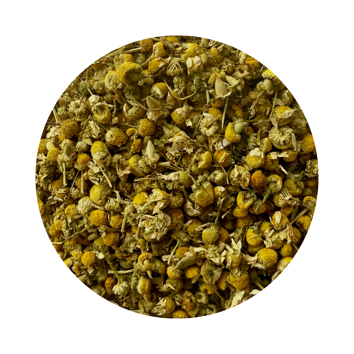 Camomille - Tisane de fleurs de camomille pure