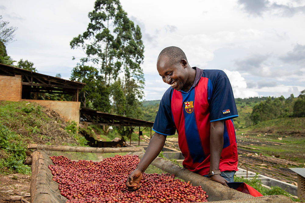 Café Burundi Kalico sur African Bed