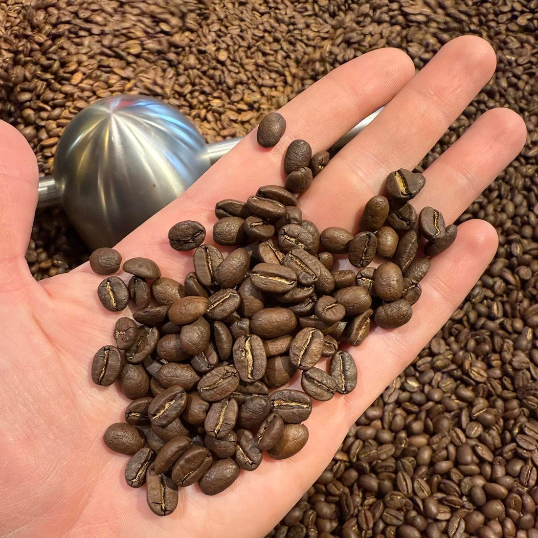Sélection de café Van Hove 