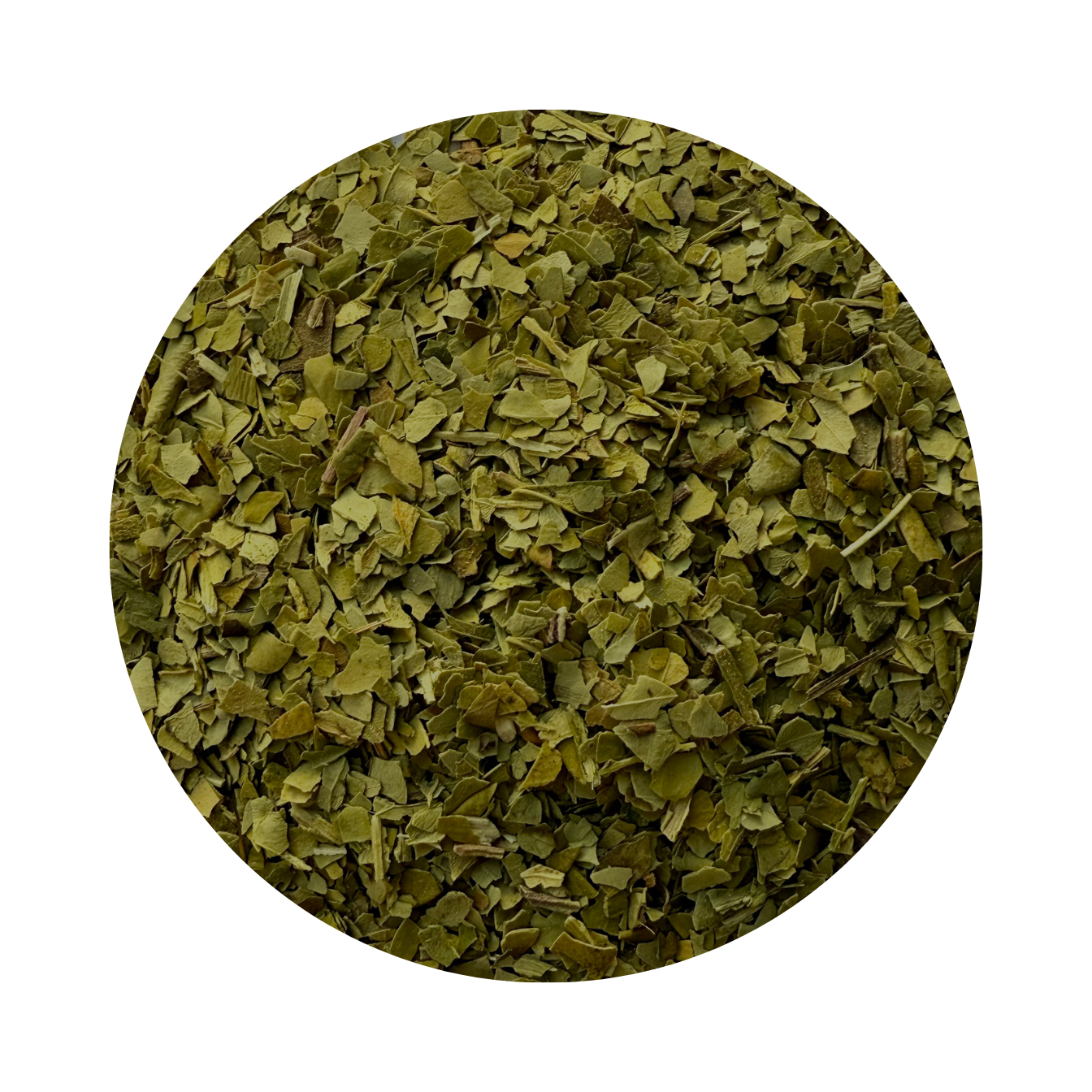 Maté Vert - Infusion de yerba maté aux notes végétales et boisées