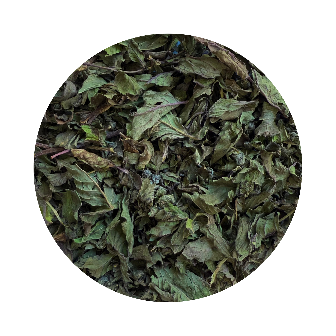 Thé Menthe - Thé vert Gunpowder à la menthe douce et poivrée