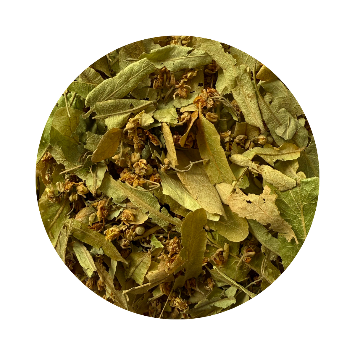 Tilleul - Tisane aux notes florales et boisées