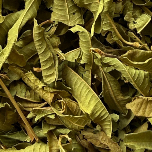 Verveine - Tisane aux délicates notes citronnées
