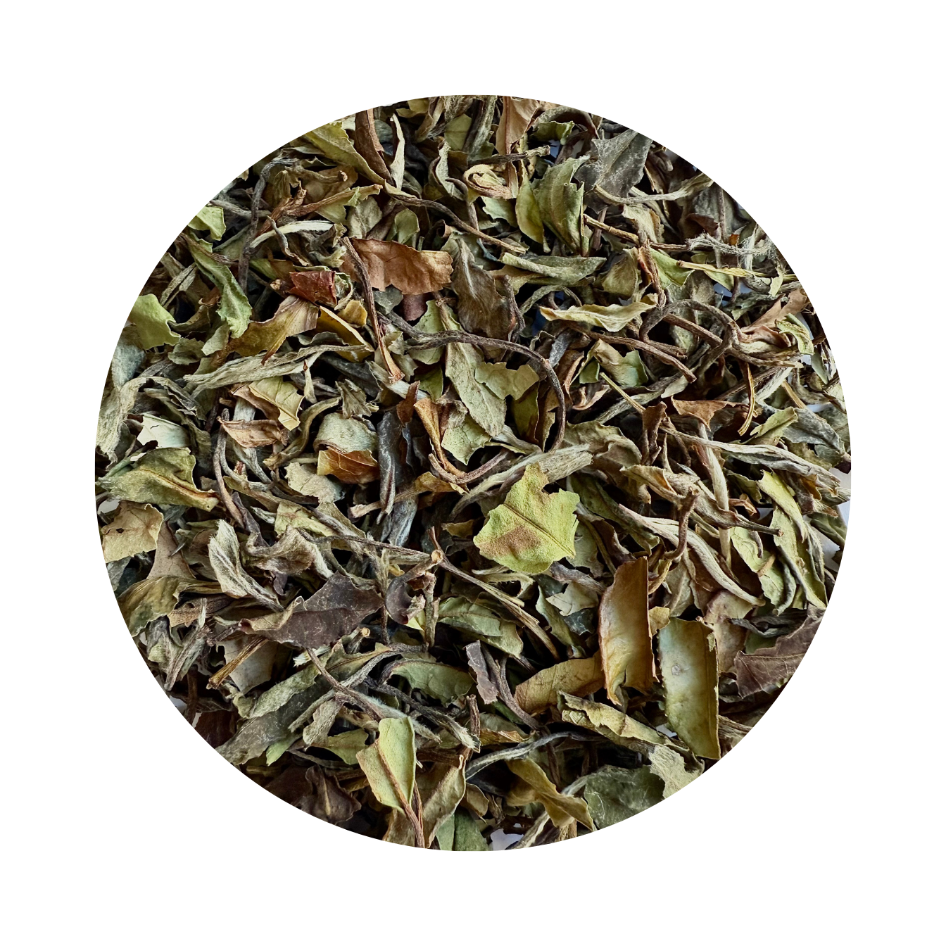 Paï Mu Tan Pivoine Blanche - Thé blanc aux notes d'abricot et florales
