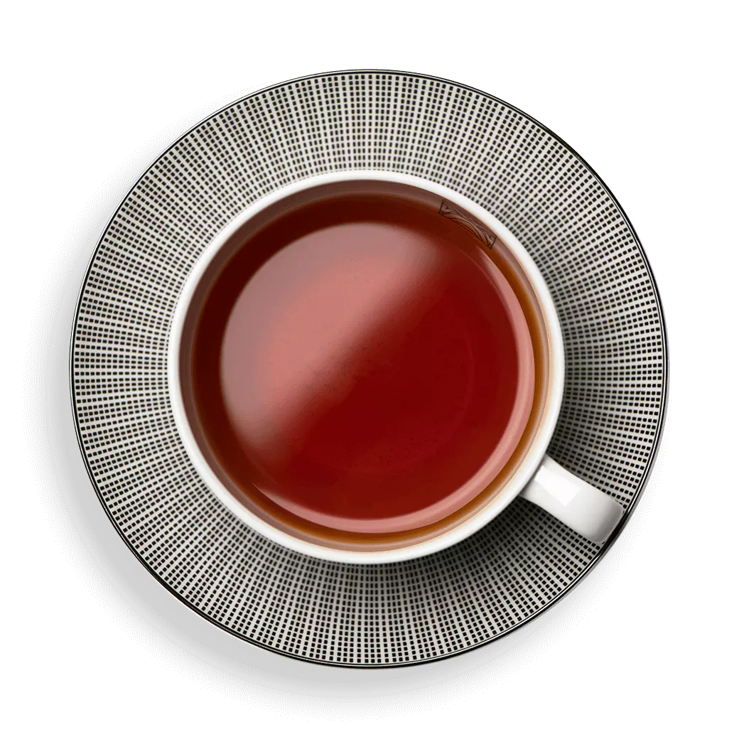 ROOIBOS CEDERBERG BIO DAMMANN - Cafés Van Hove