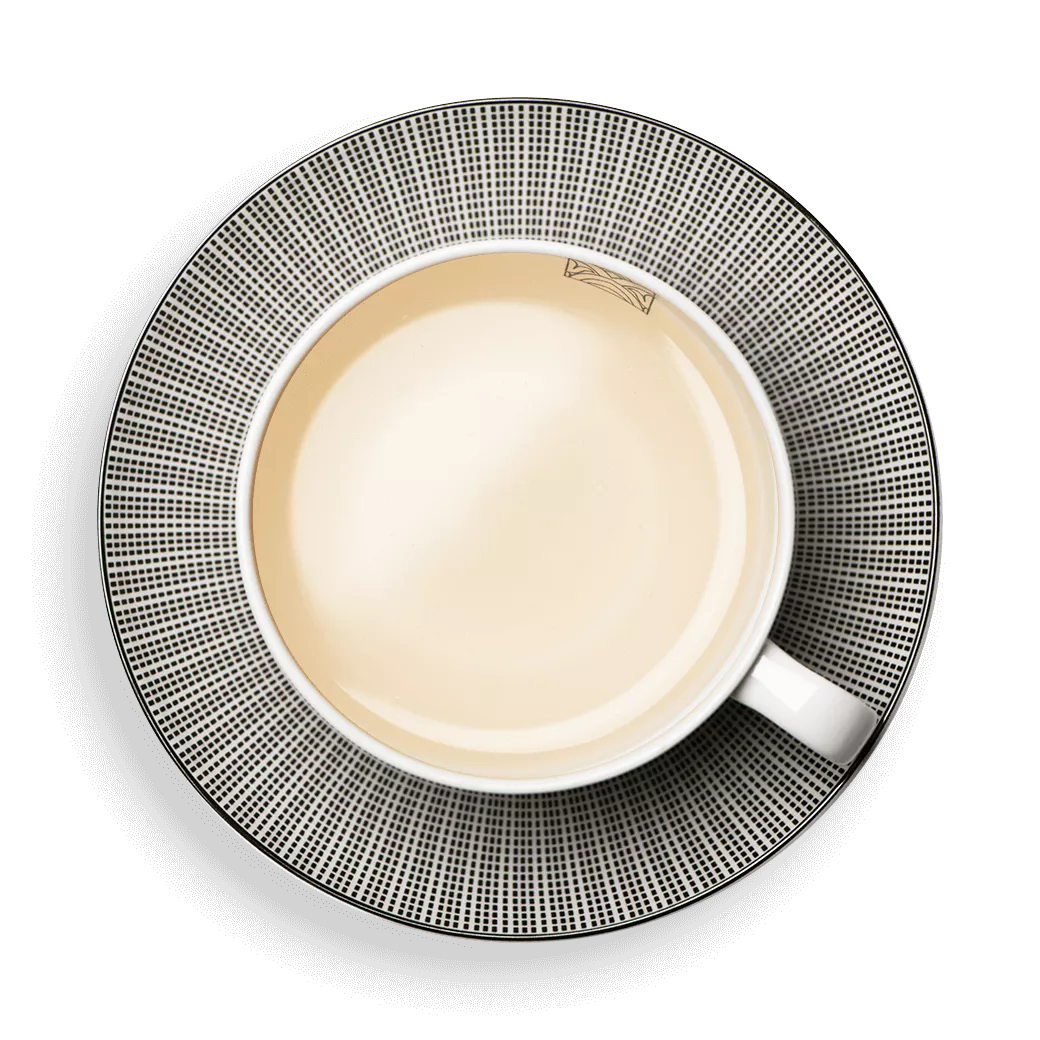 THÉ BLANC PAÏ MU TAN BIO - Cafés Van Hove