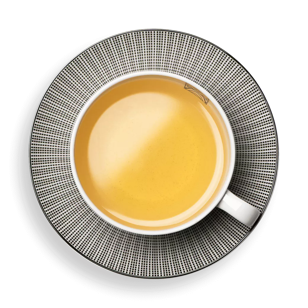 THÉ VERT ARÔME NATUREL DE MENTHE BIO - Cafés Van Hove