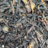 Ceylon Orange Pekoe Pettiagalla