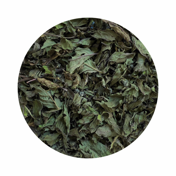 Green tea Mint