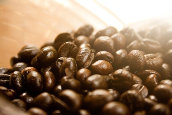 Café en grains