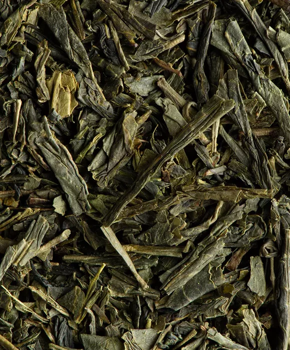Feuilles de THÉ VERT SENCHA BIO