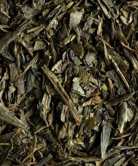THÉ VERT ARÔME NATUREL DE MENTHE BIO