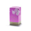 infusion glacée passion framboise