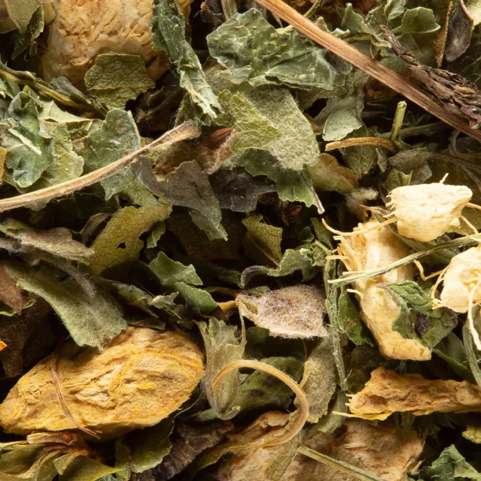 Tisane - Magic Ginger