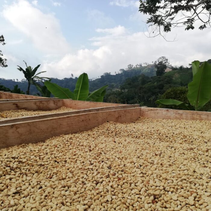 Biologische Colombiaanse koffie